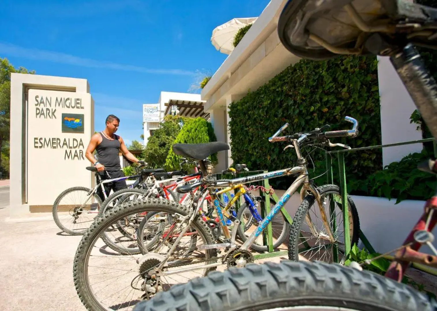 Apartamentos San Miguel Park & Esmeralda Mar