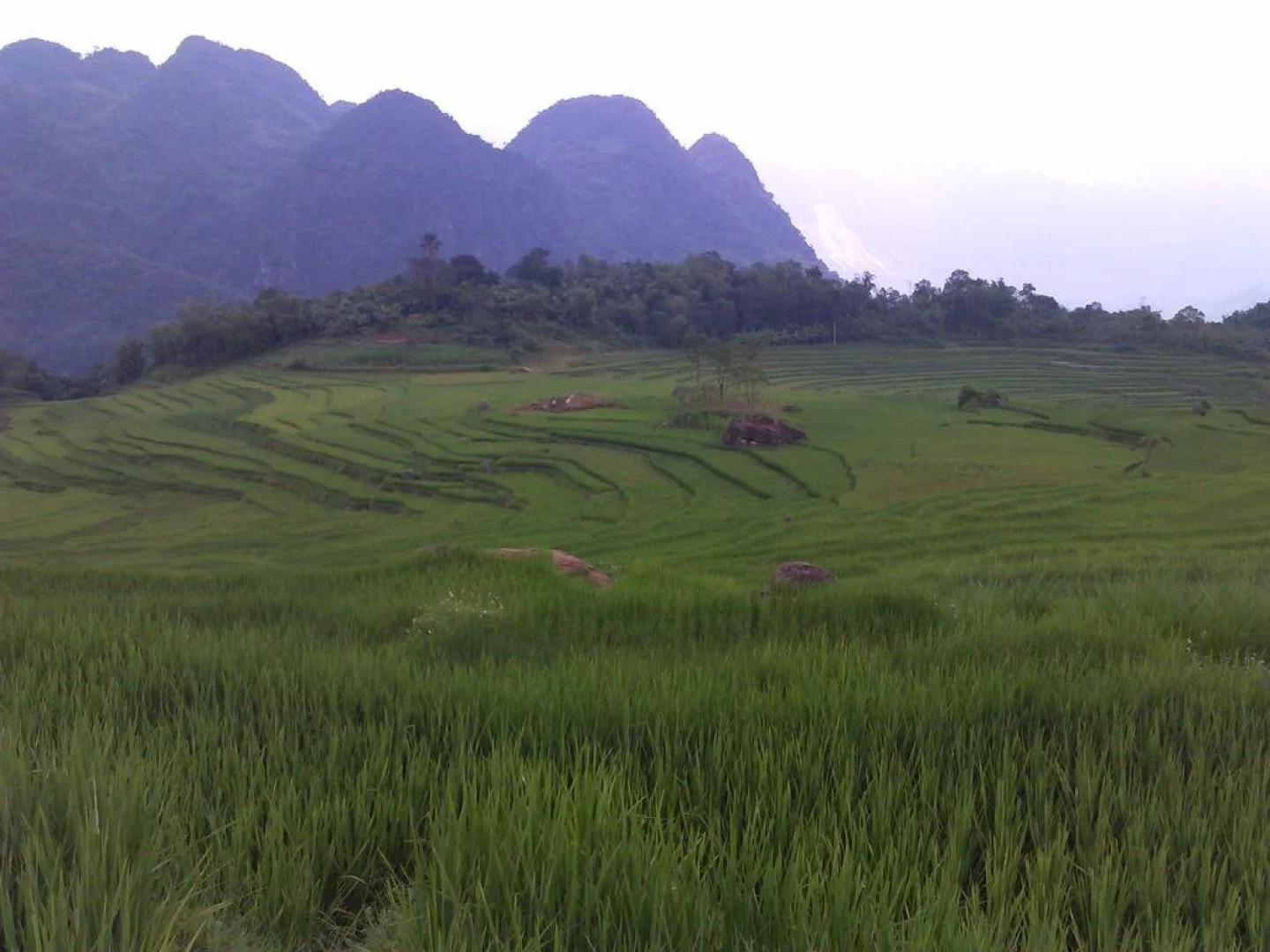 Eco Homestay - Hostel