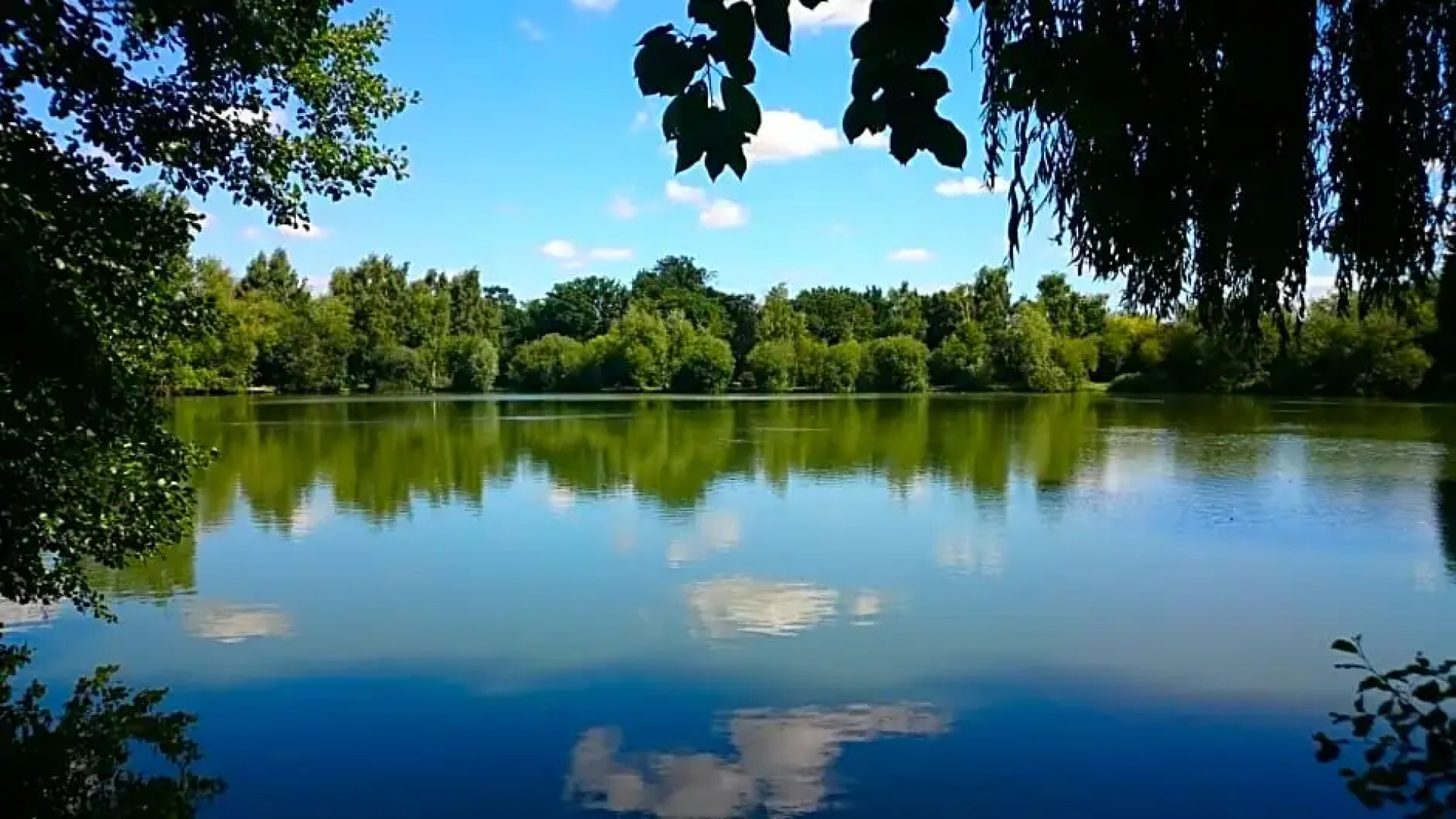 Woodland Rooms at Woodland Waters