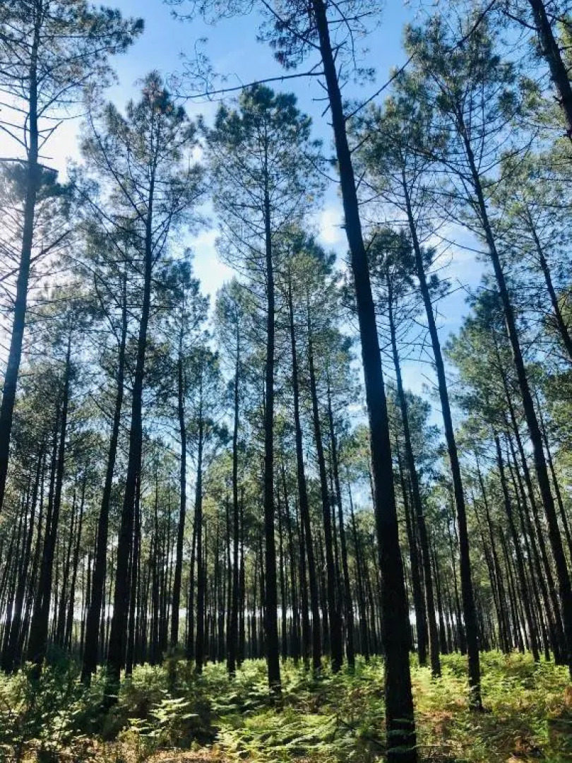 villa le faré - Piscine Chauffée - 8 Pers