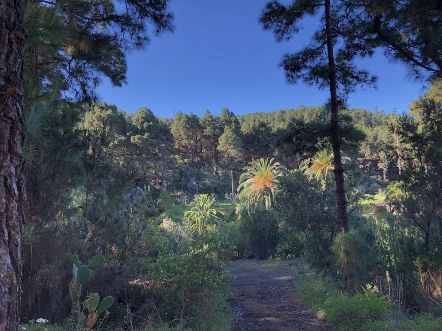 Casa Rural Monte Frío de Tenerife