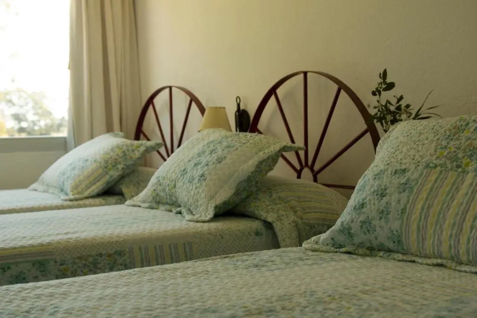 Complejo Turistico Flores Hotel de Campo