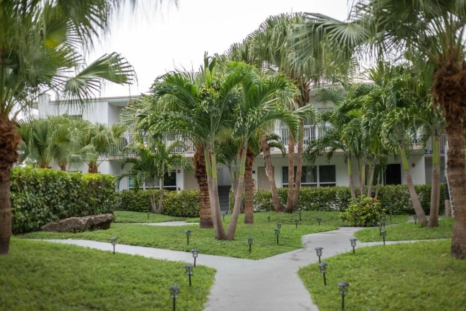 Bh Club By The Guild