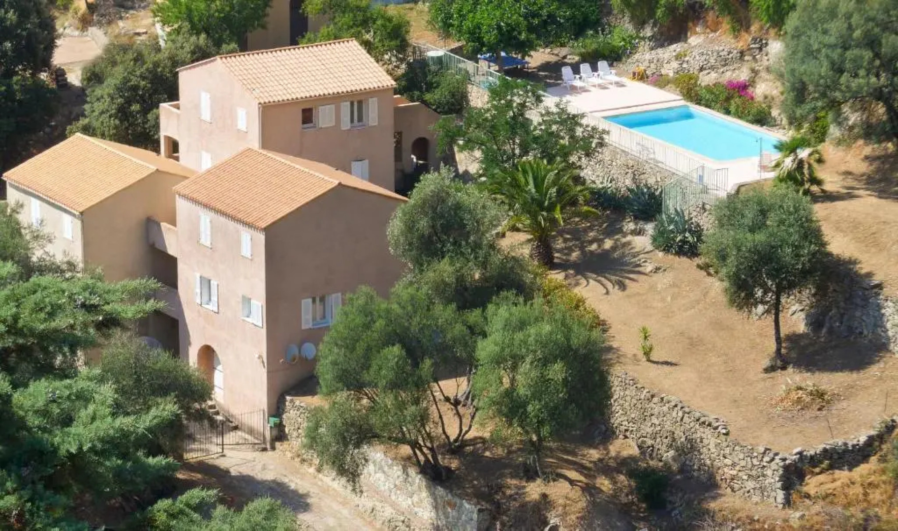 petit paradis pres ile rousse gîte les cortalines Lama