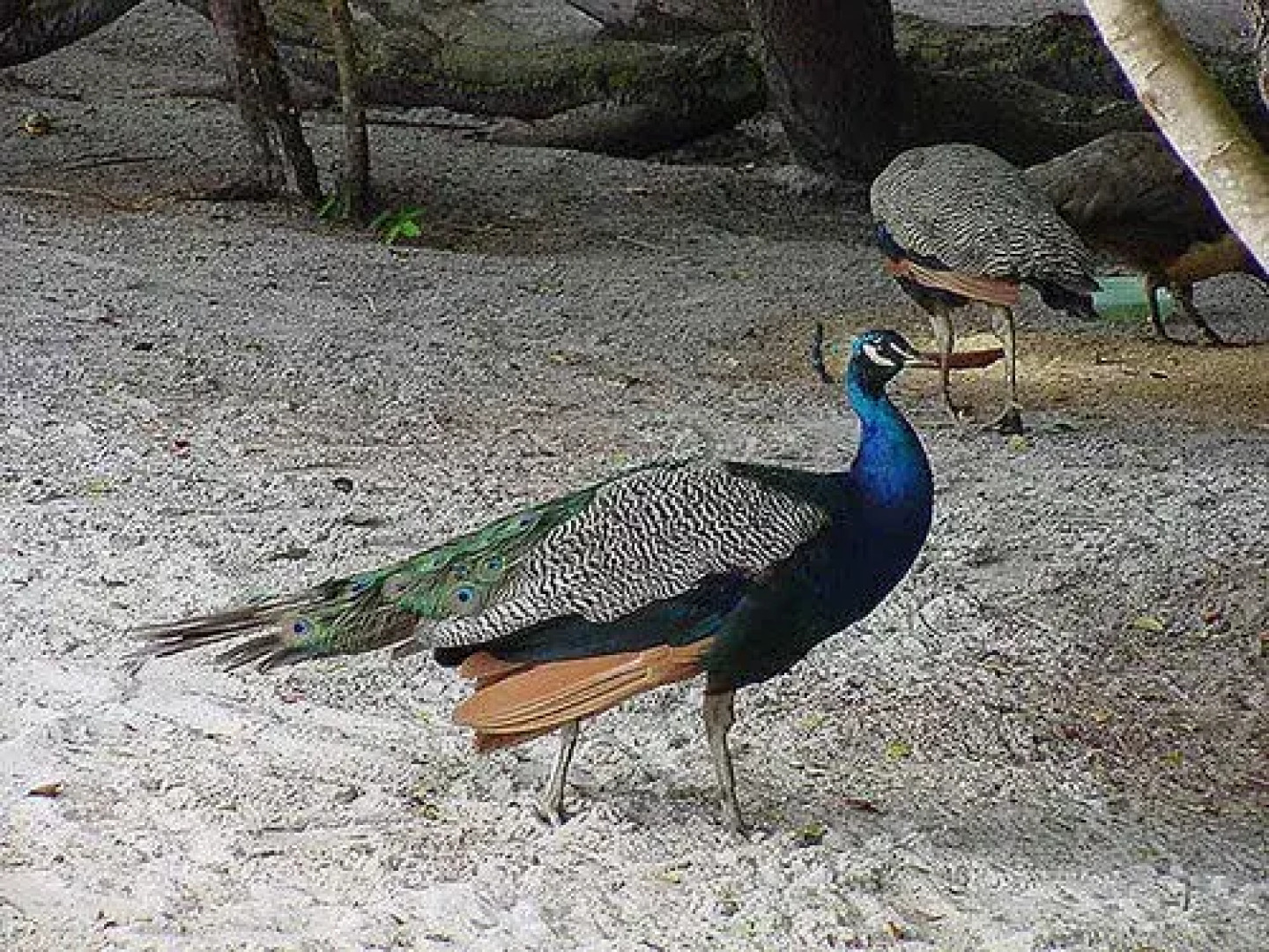 Pousada Luar de Imbassay