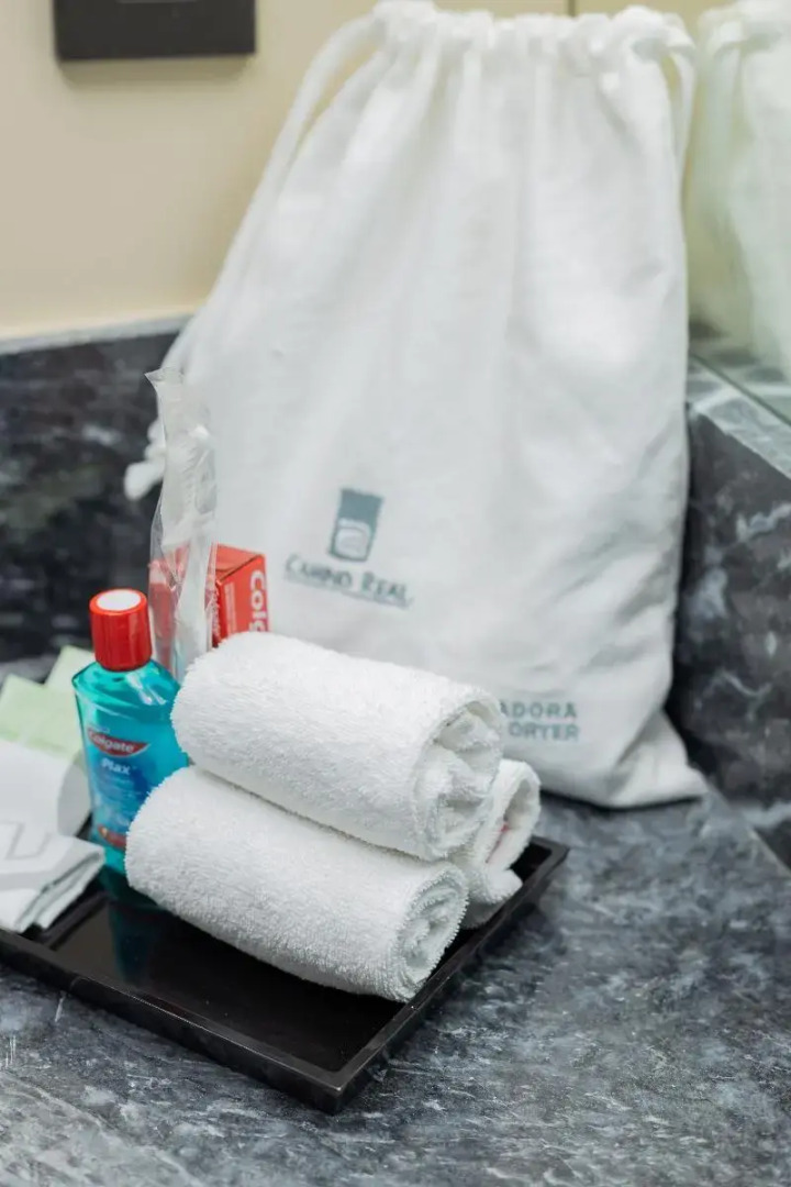 Camino Real Fashion Drive Monterrey