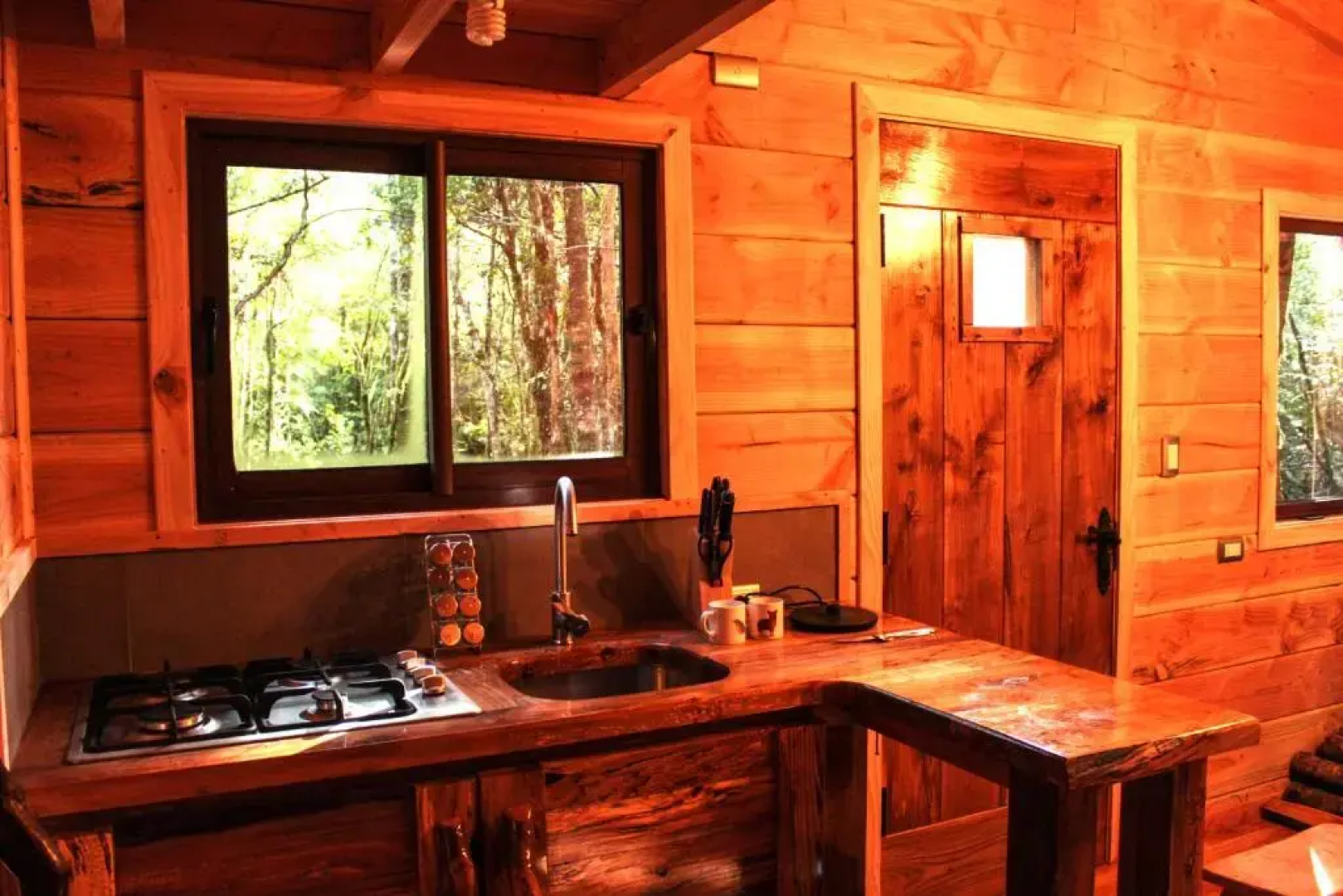 Cabanas Bosque Milenario