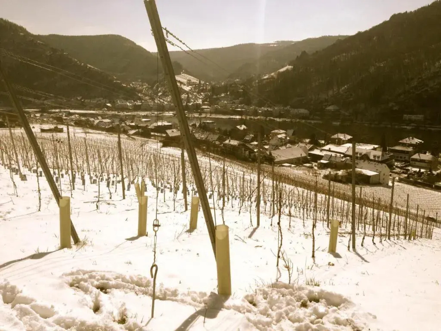 relactive-mosel Feriendomizil