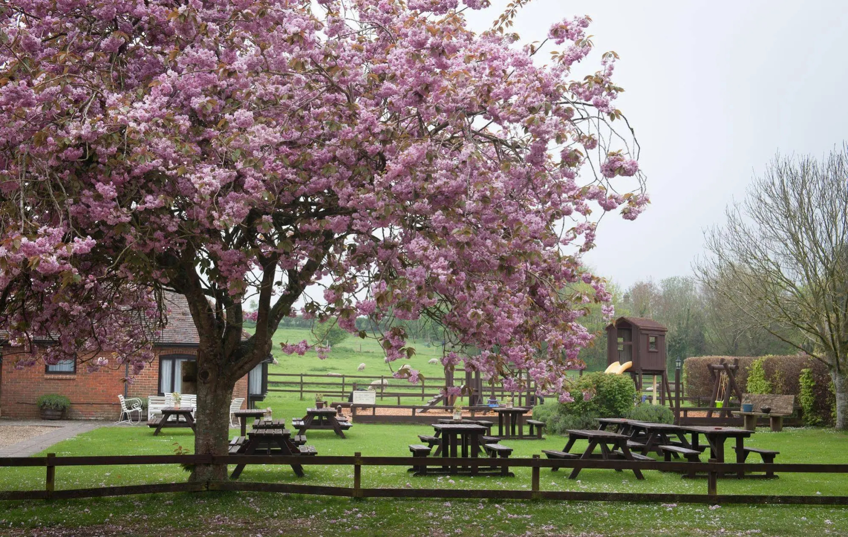 The Langton Arms