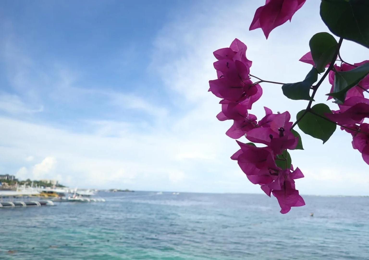 Kon Tiki Marina Suites