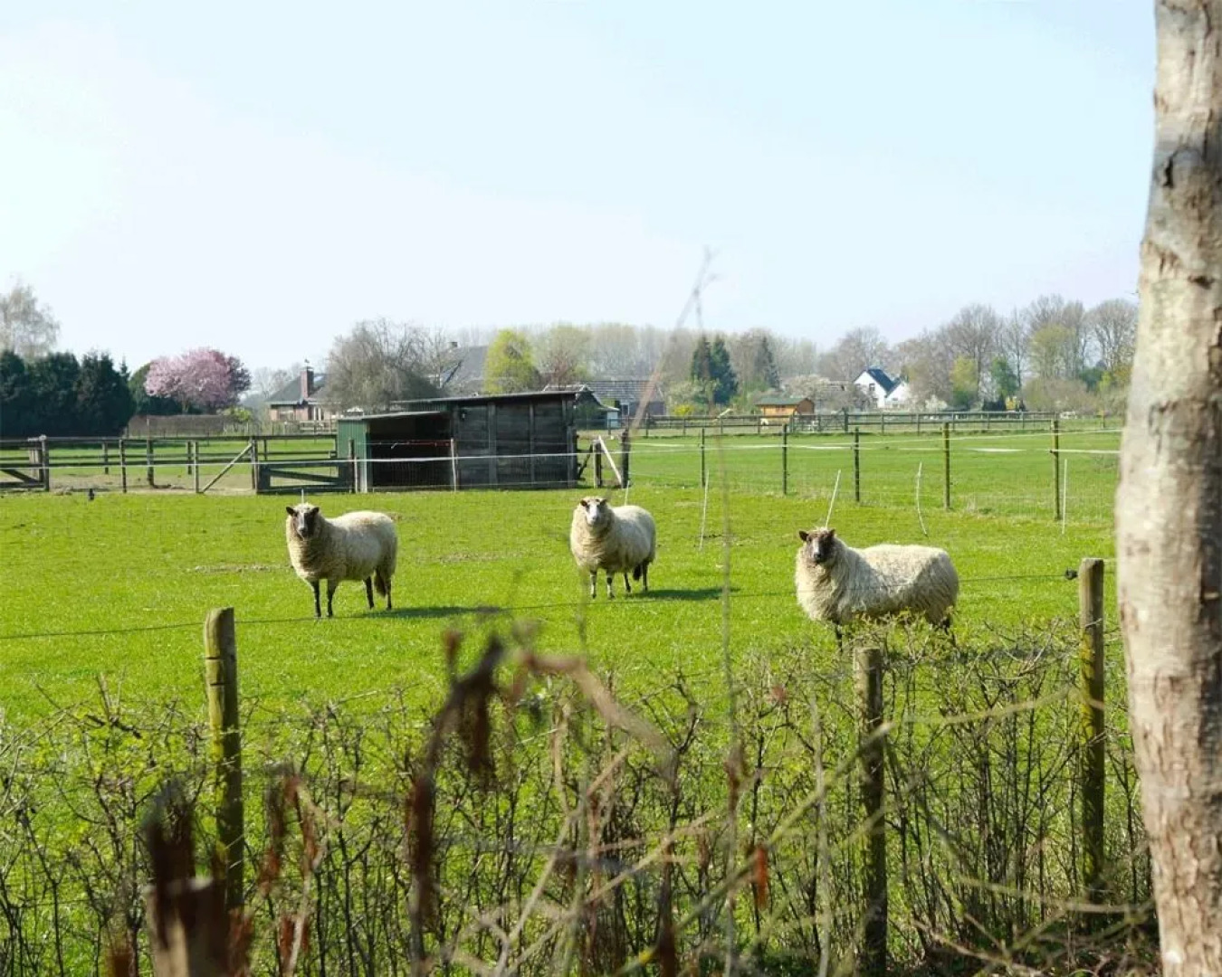 Buitengoed de Panoven