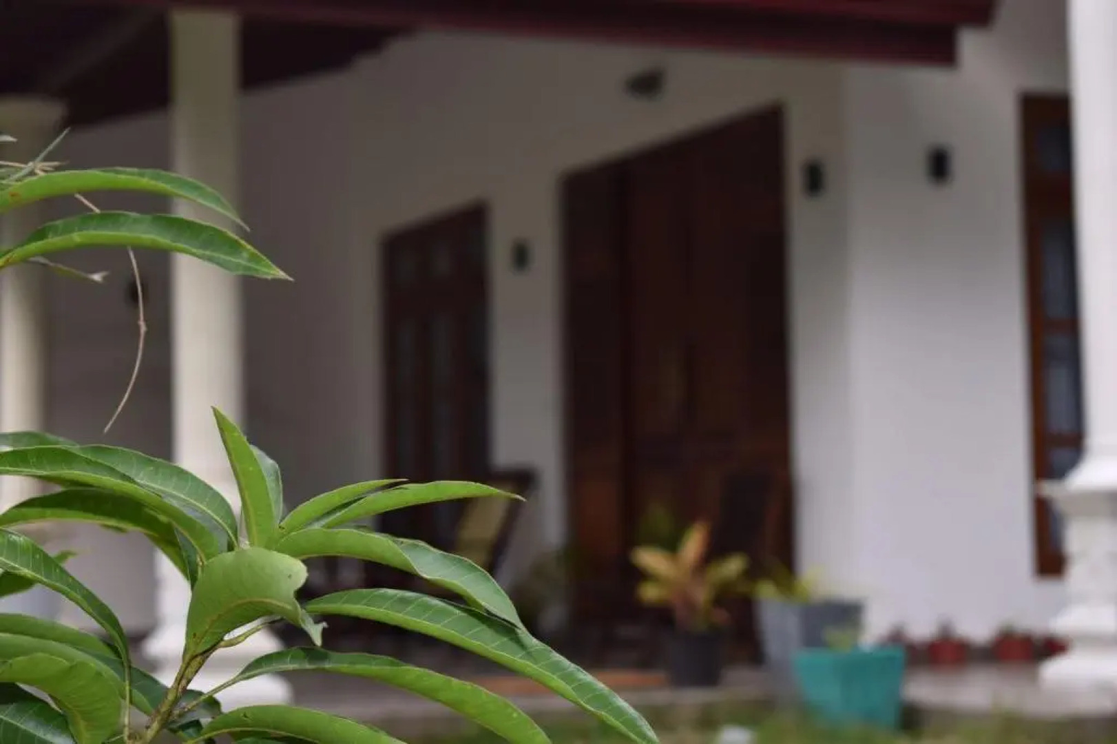 Ceylan Star Guest Inn