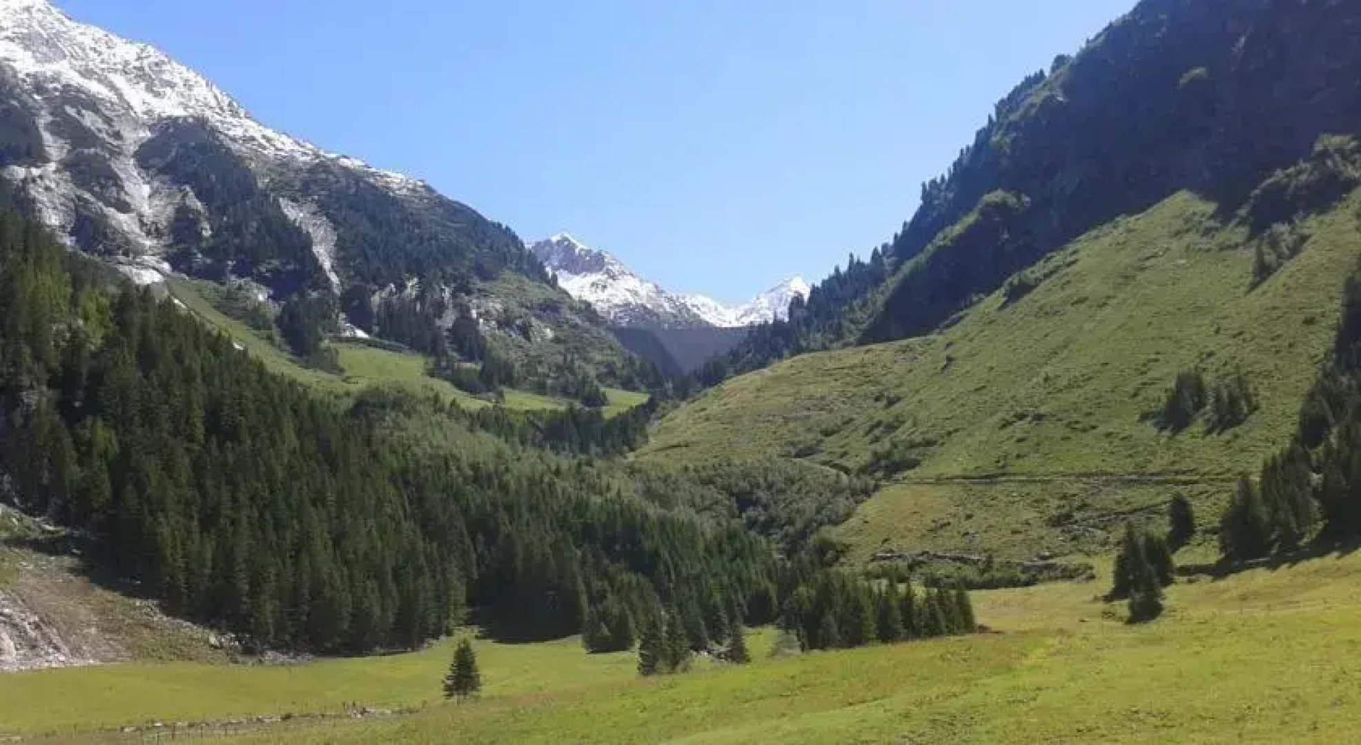 Studio Hochzillertal