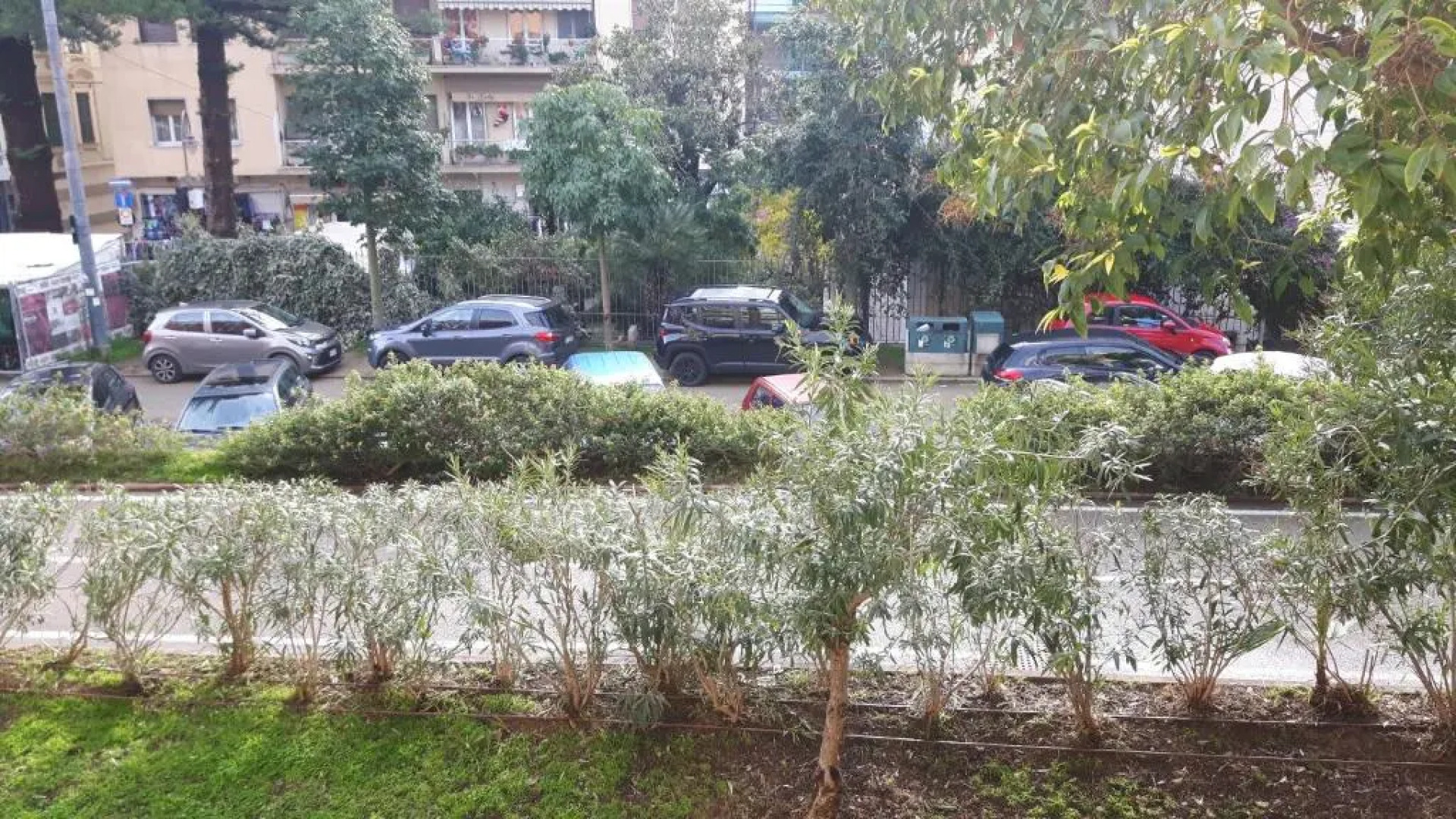 Marilena - La Bouganville