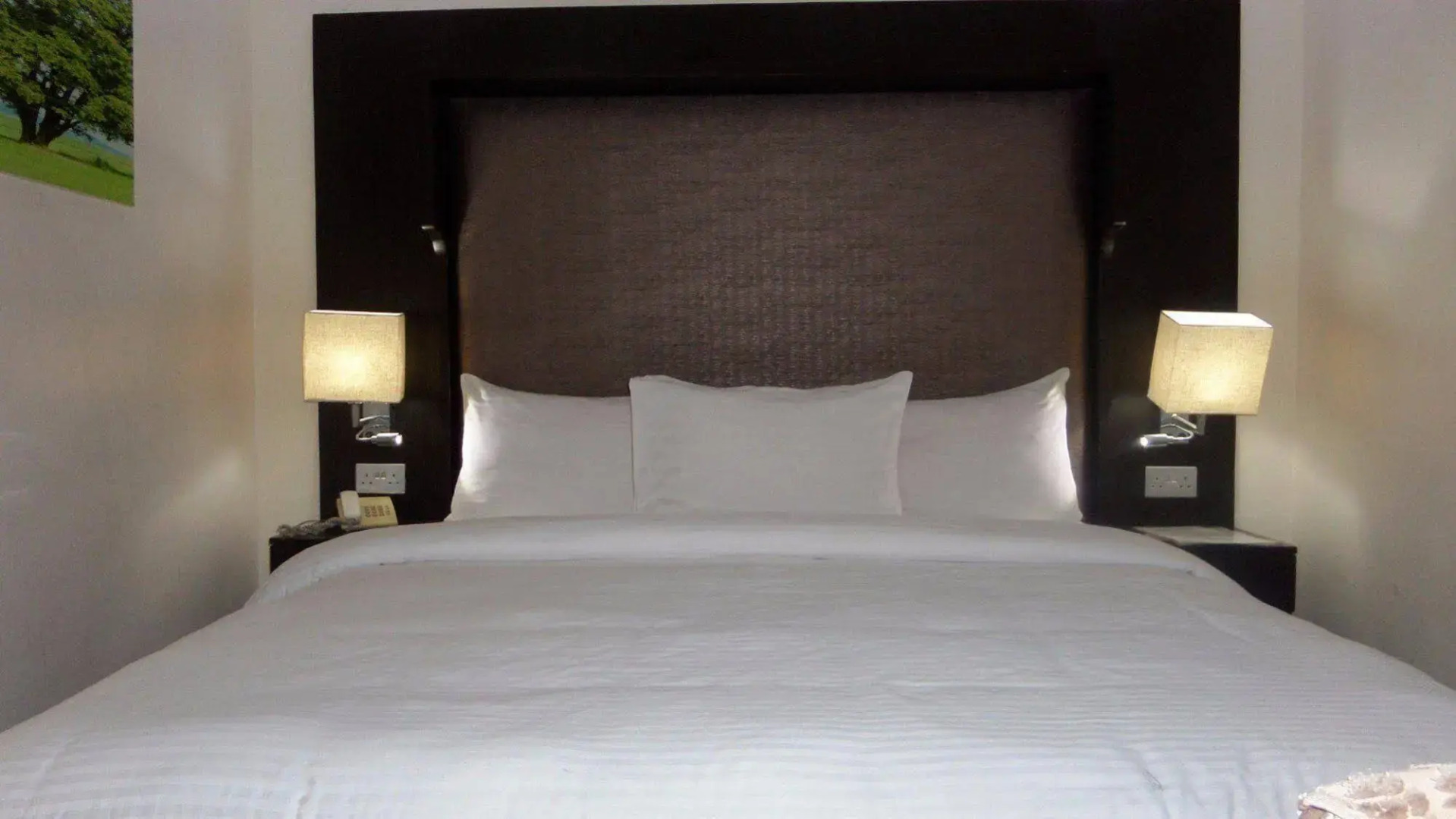 Larry Mitchelle Suites