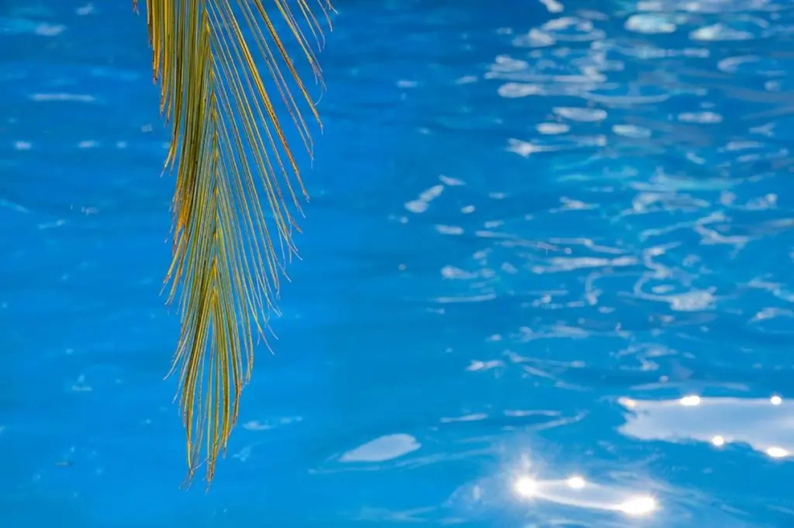 Thalero Holidays Center