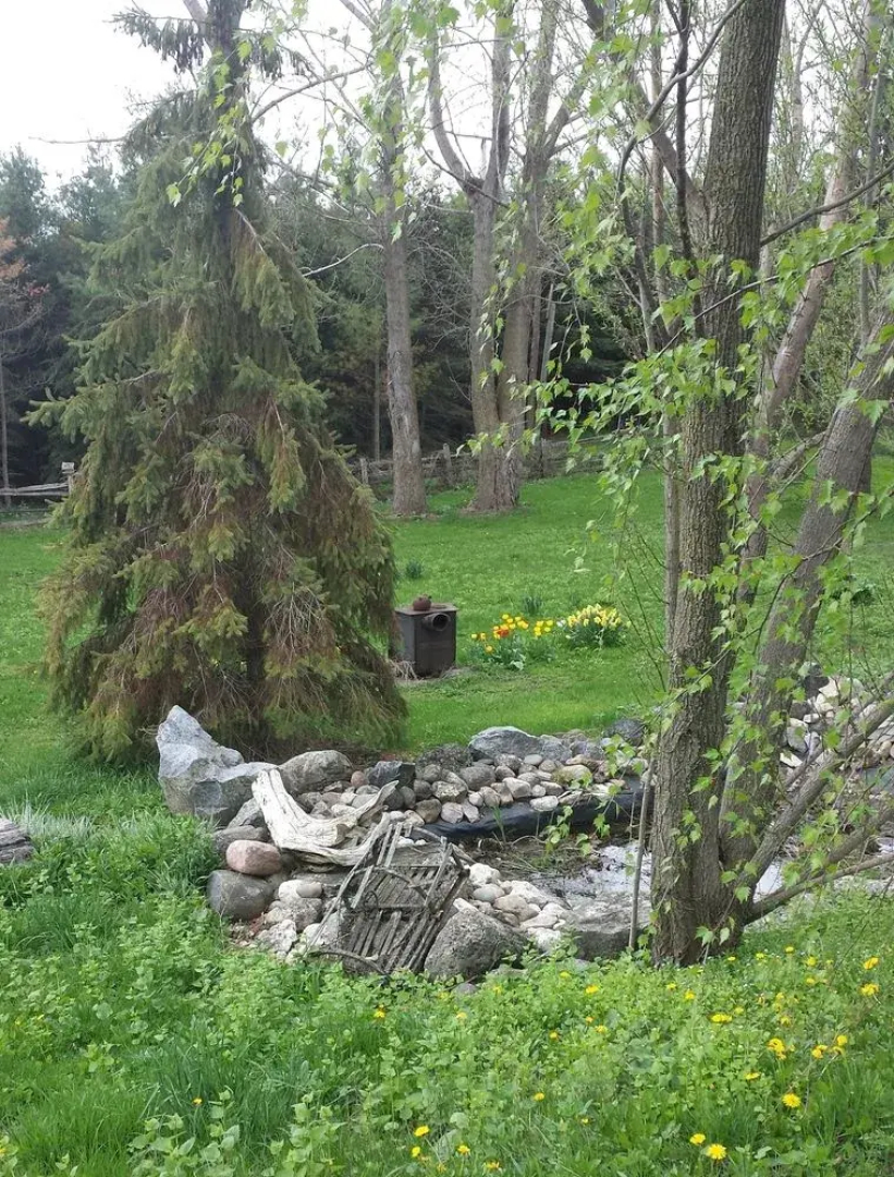 Saugeenview Family Getaway