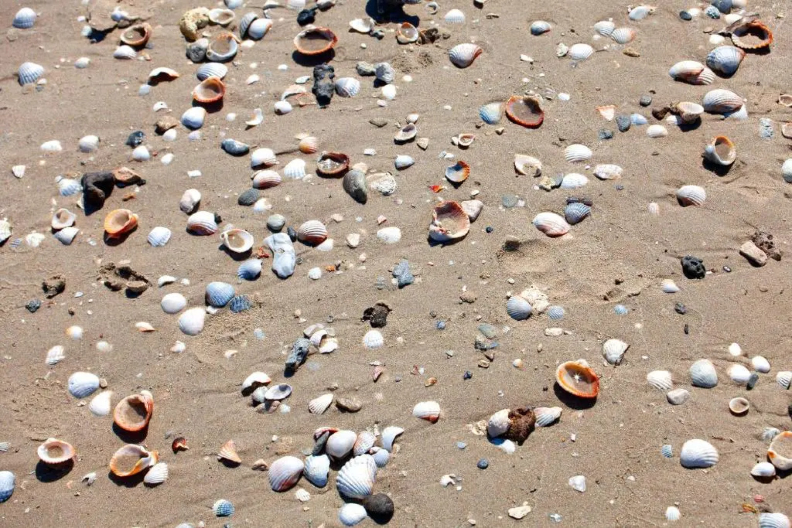 Villa fronte spiaggia con 3 camere e 2 bagni m730