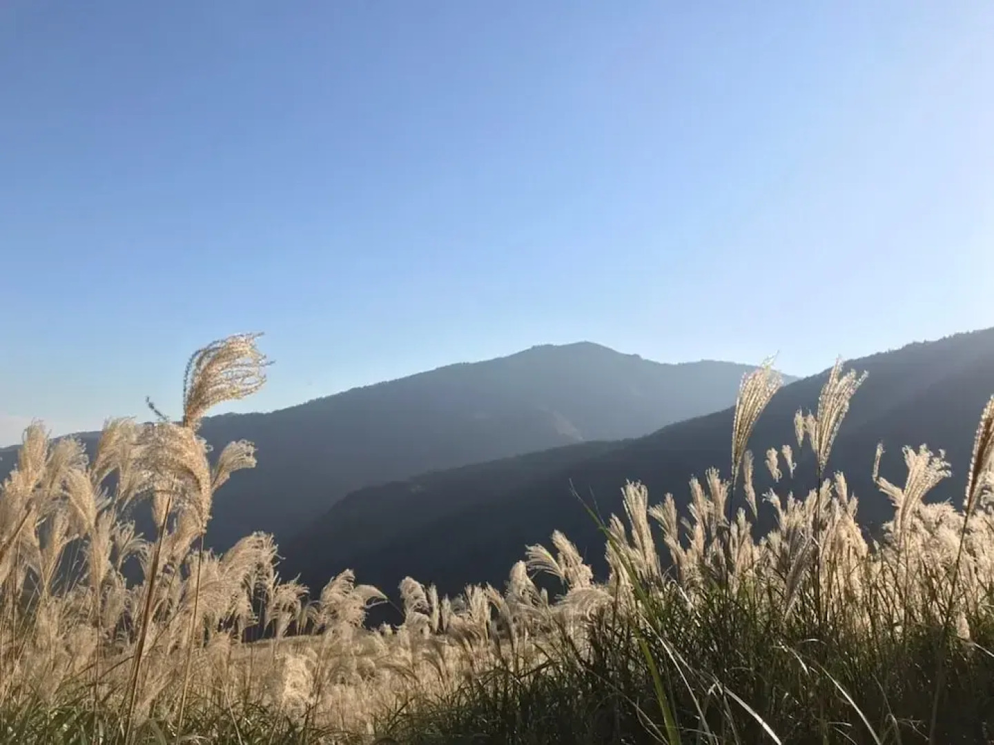 green hotel yamanami