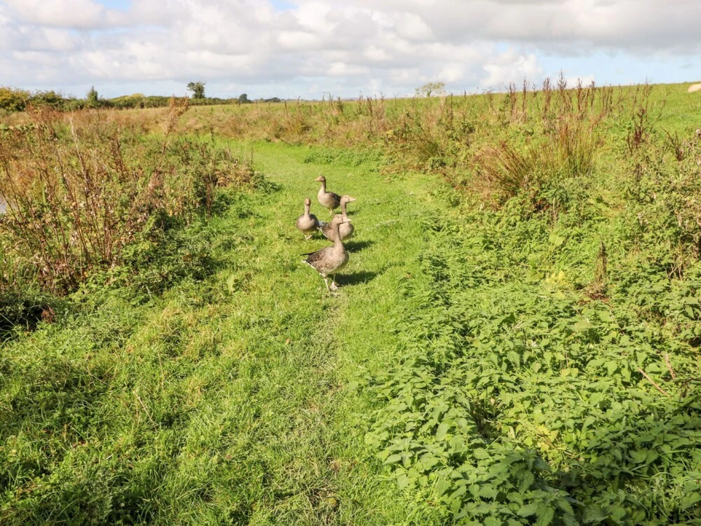 Saddlers Cottage, Berllandeg Farm