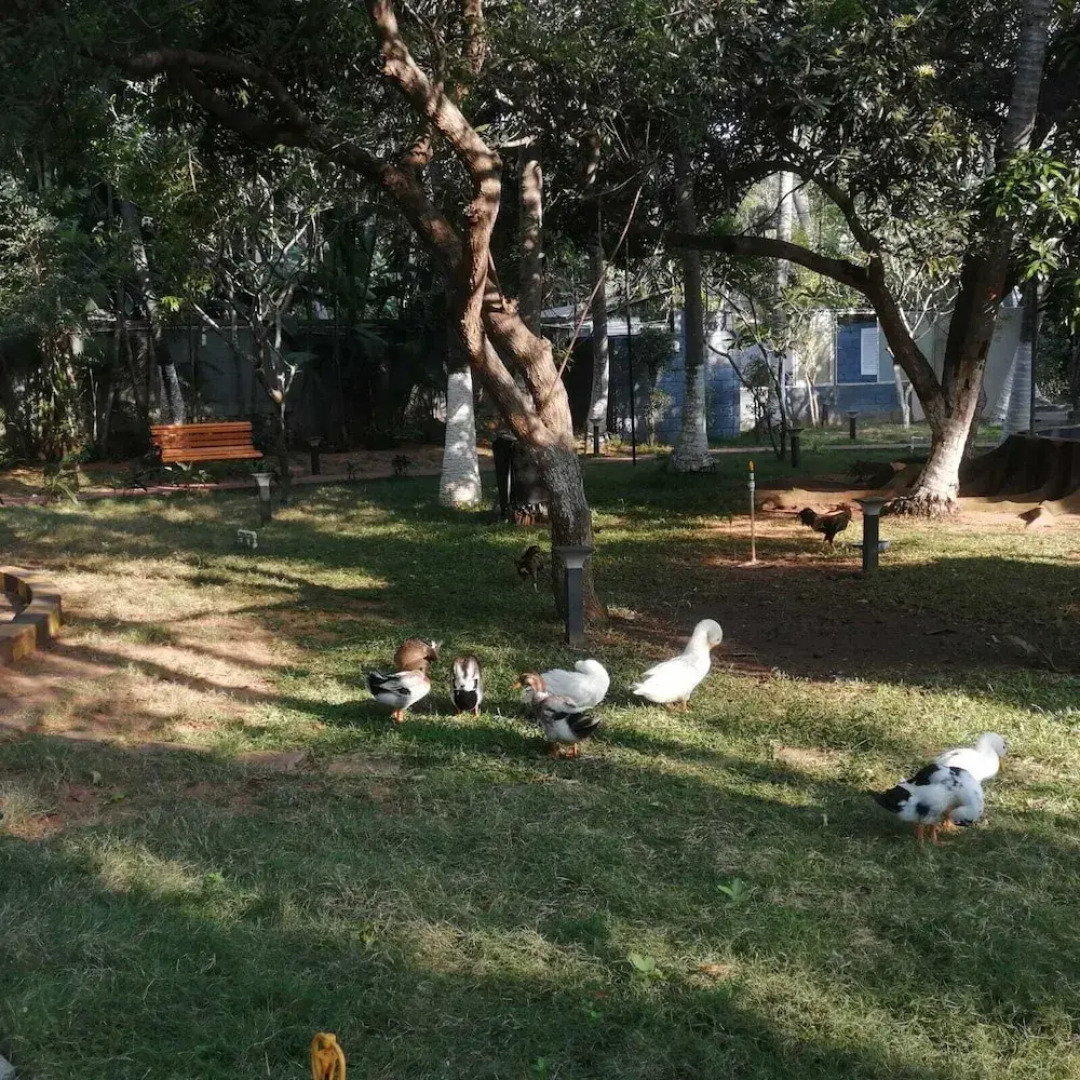 Leisure Inn Resort by NHospitality