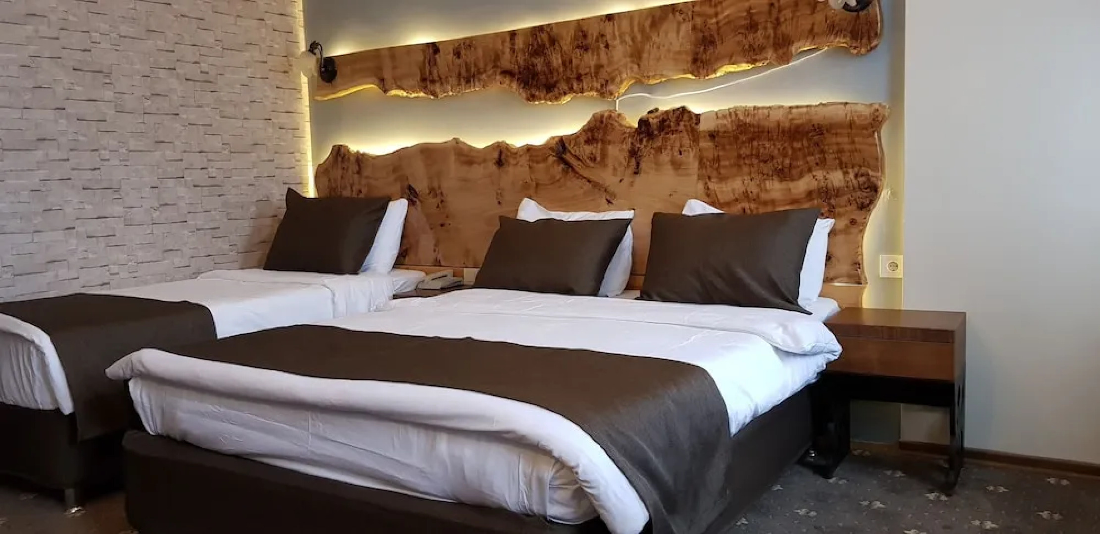 Sarikamis Kayi Snow Otel