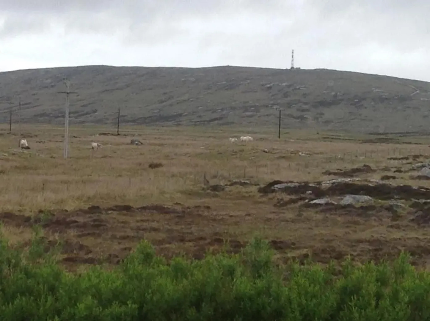 UIST Travel Accommodation