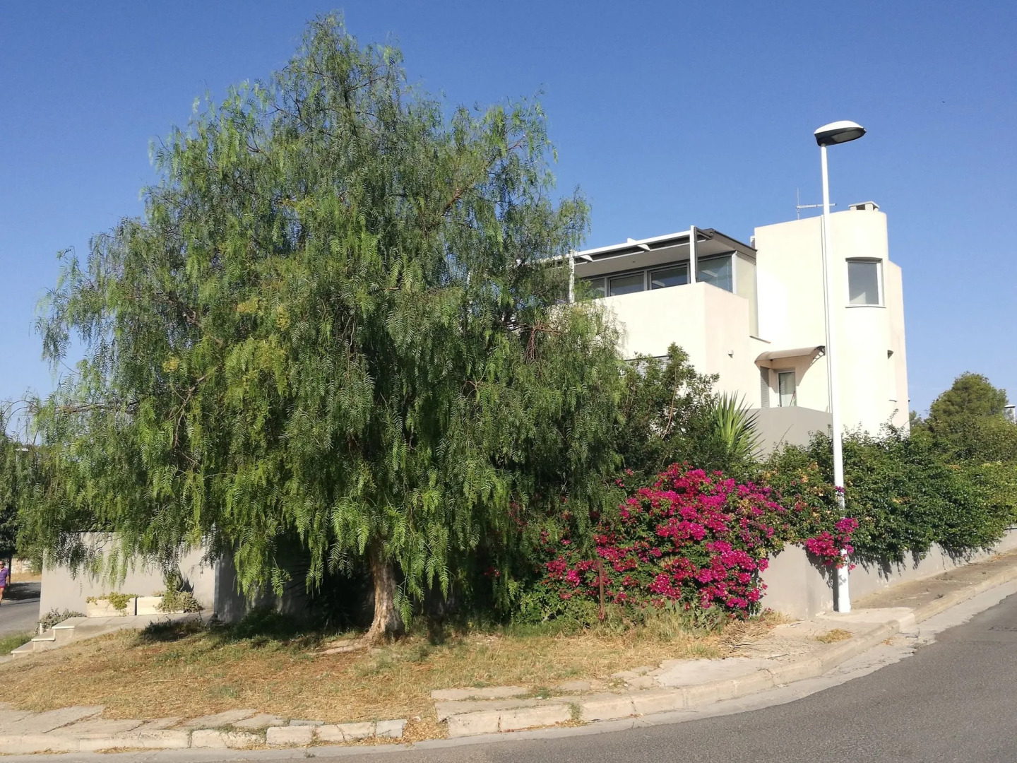 Art House Margine Rosso