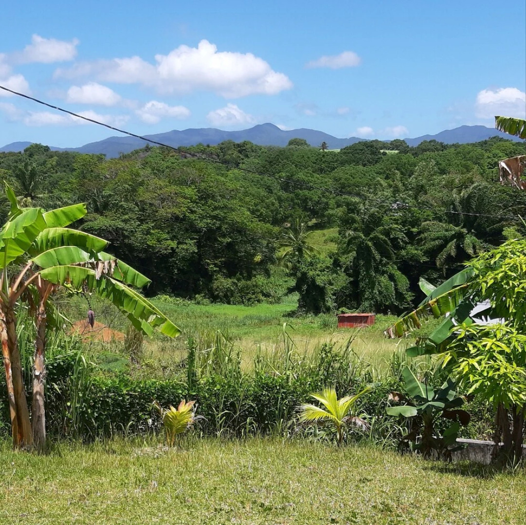 Bungalow Harmony & Serenity