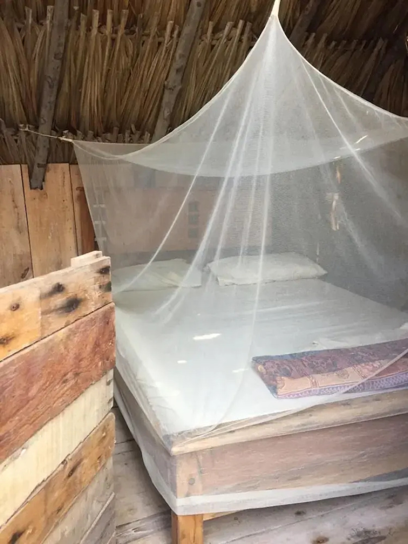 Camatajua Baru House