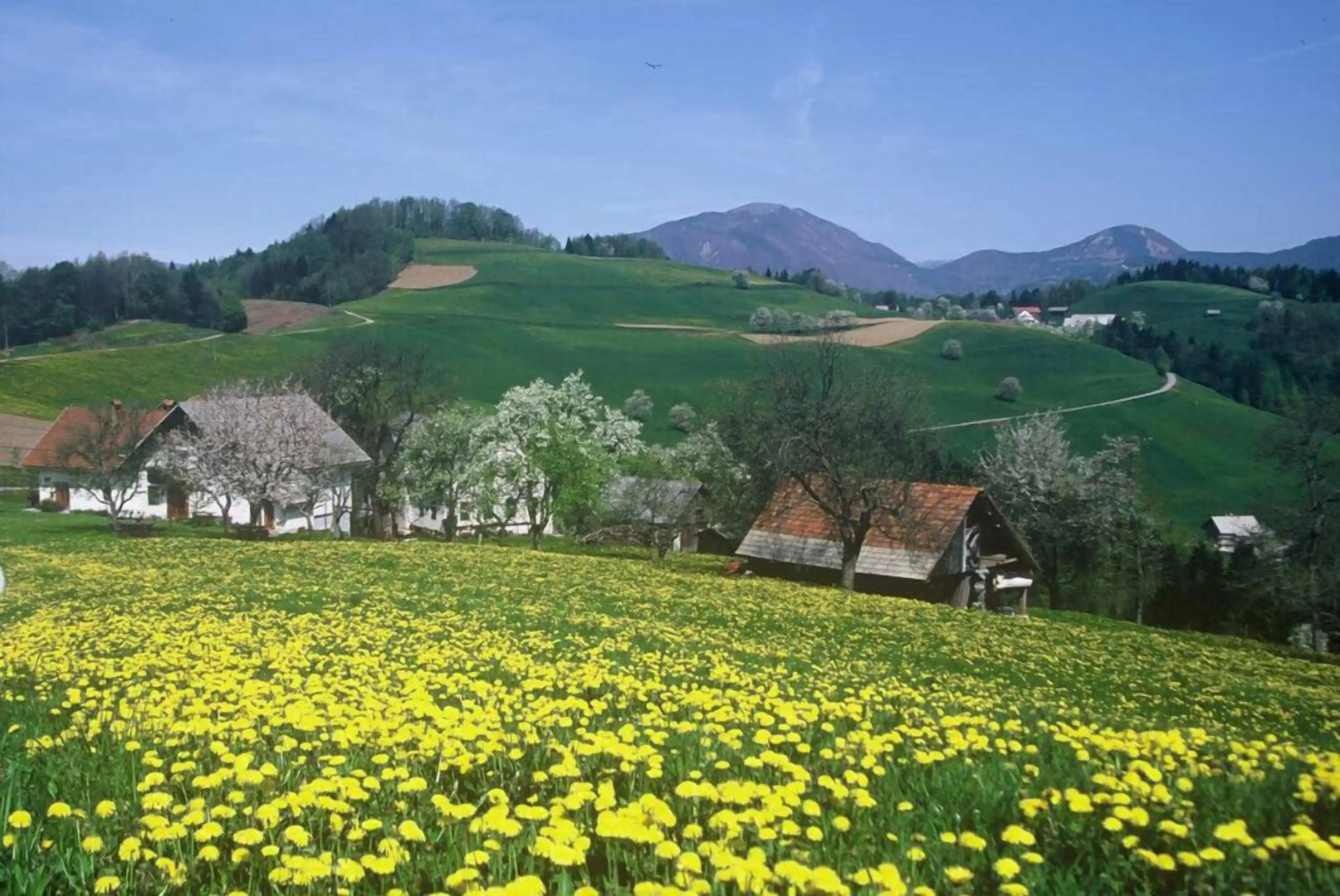 Tourist Farm Ljubica
