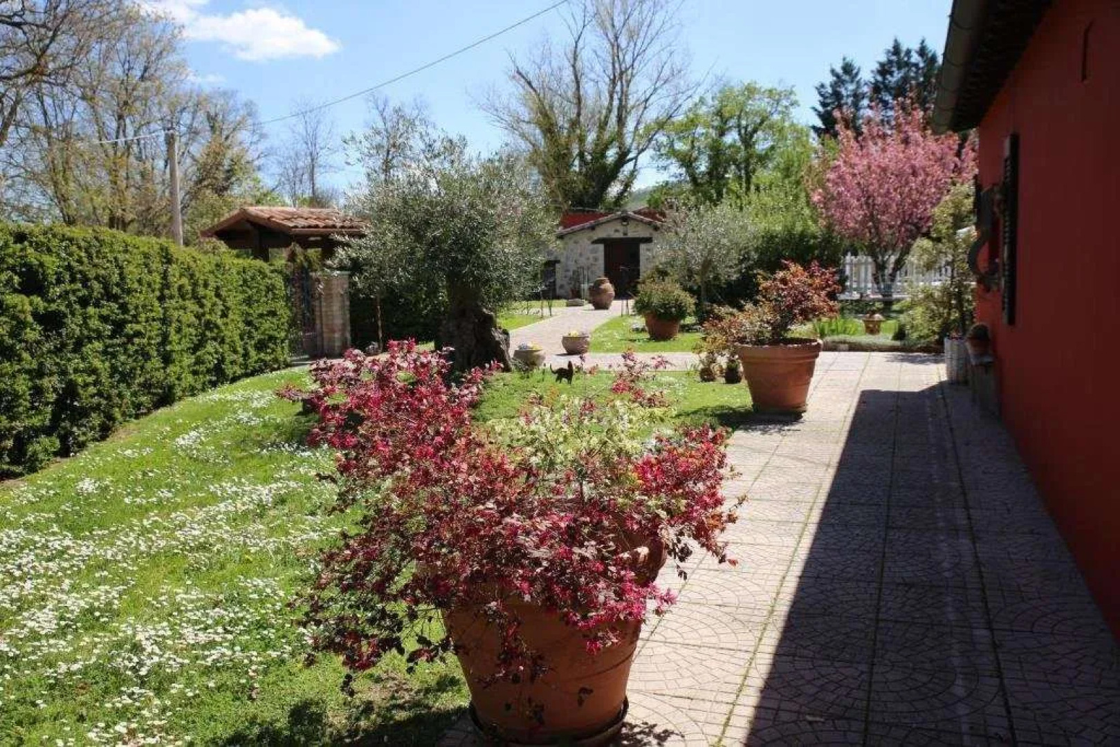 Appartamenti Il Palazzaccio