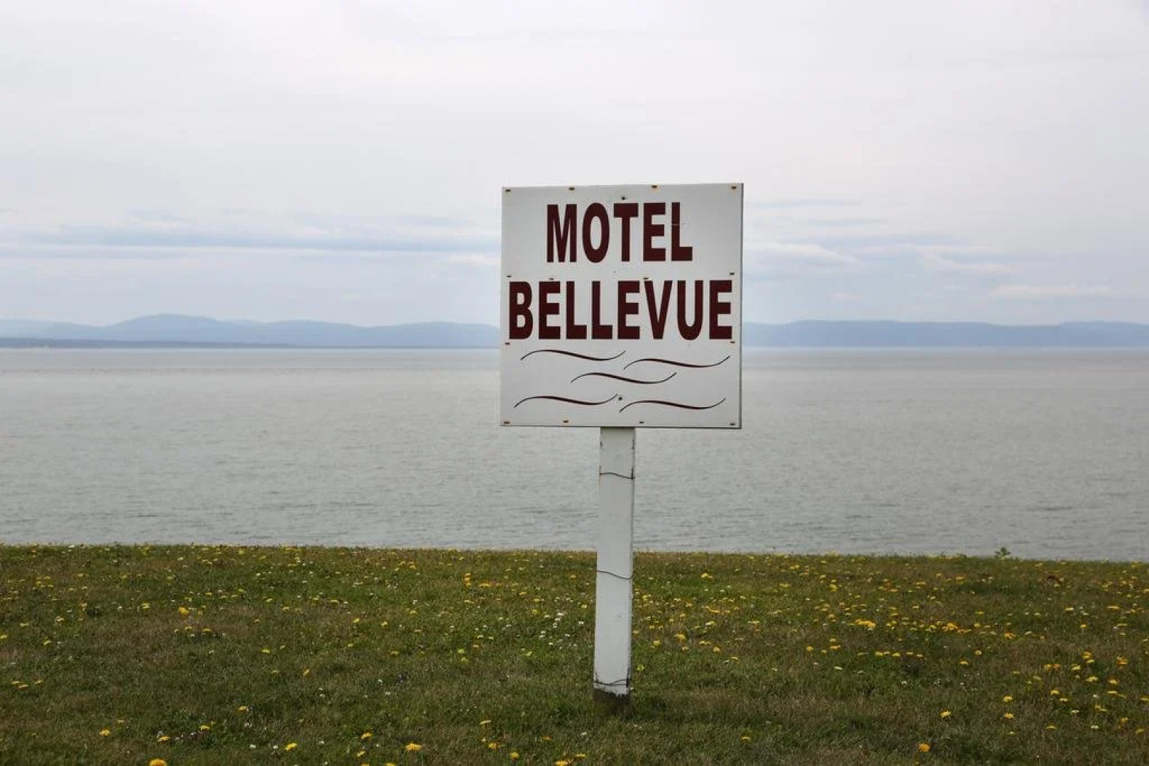 Motel Bellevue