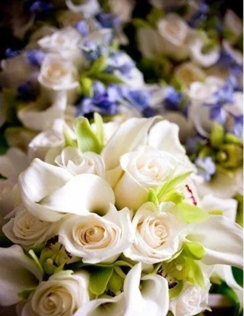 Wyndham Glenview Suites Chicago North