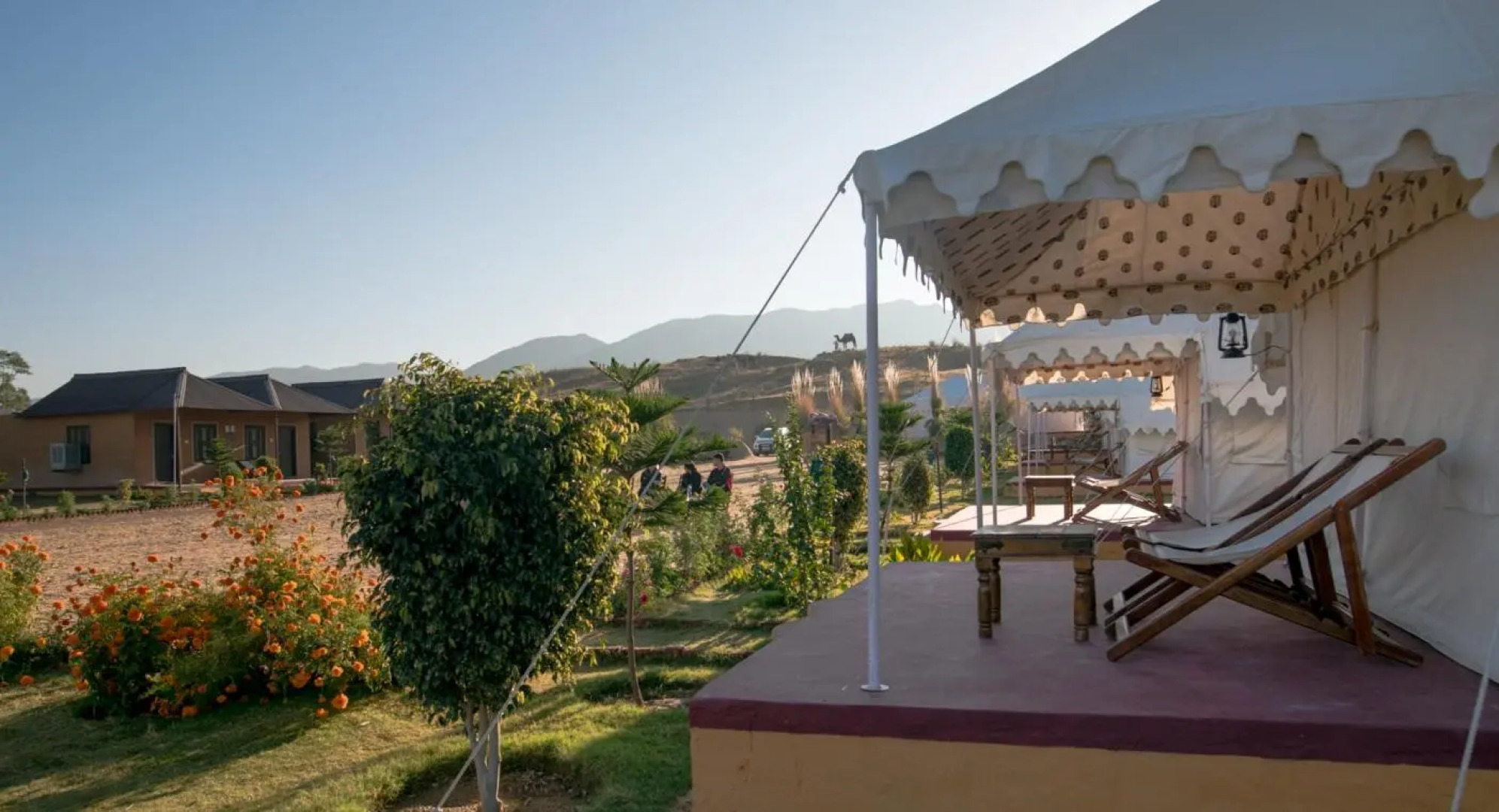 Pushkar Adventure Desert Camp