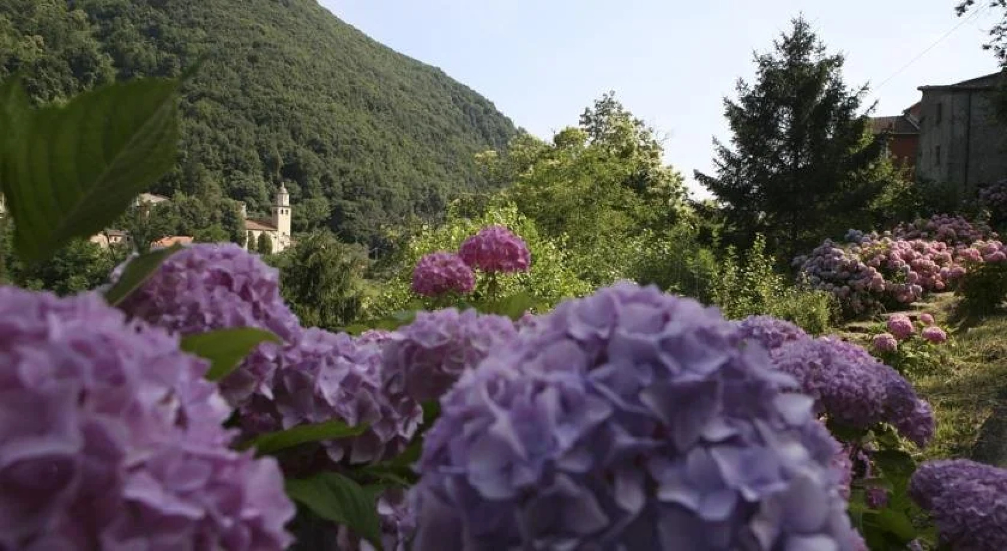 Affittacamere Serenella