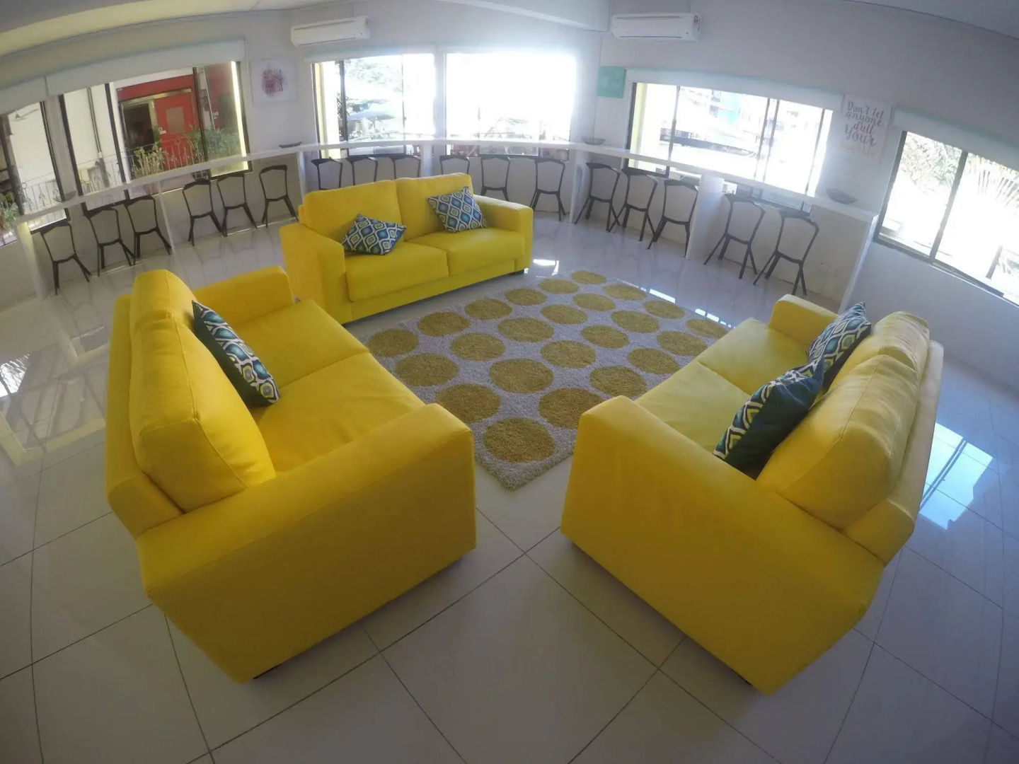 Fat Rhino Hostel