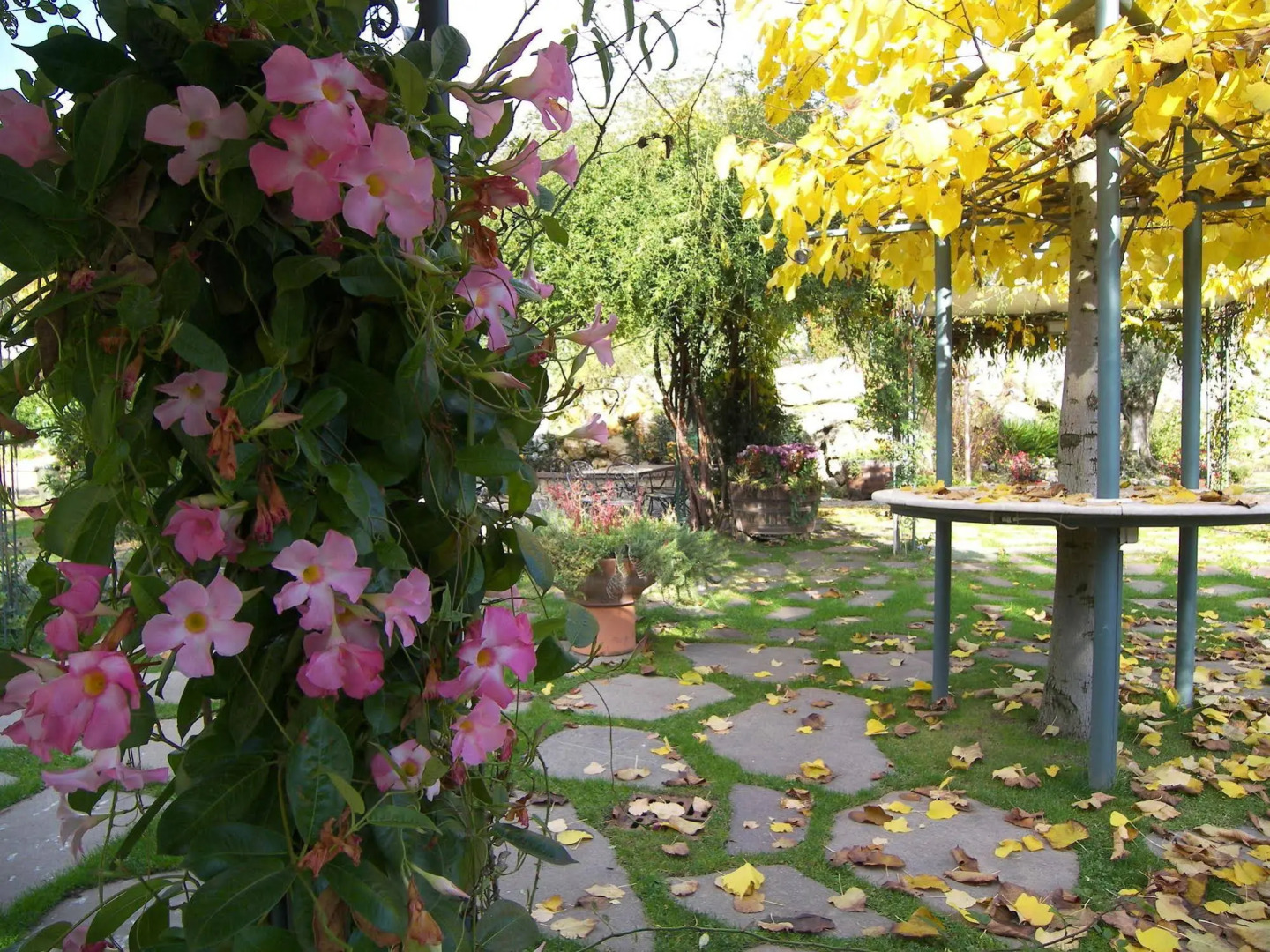 Hotel Des Reves - Al Poggio di Casalucense