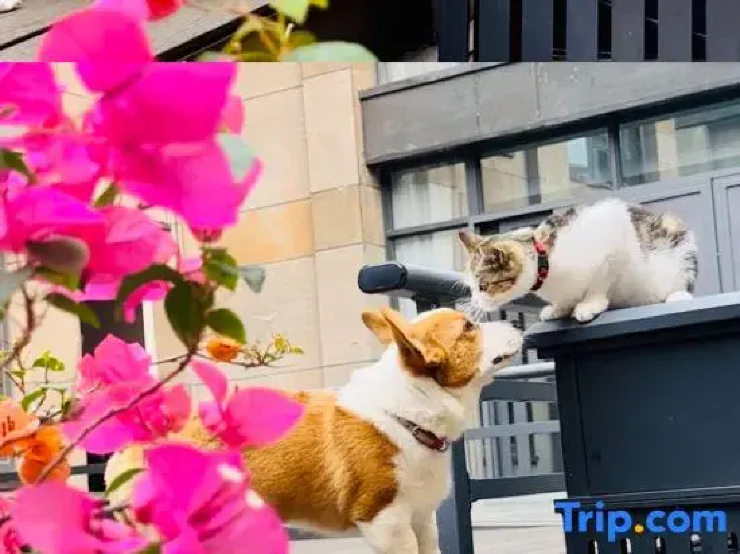 Wuzhishan Yisuli Theme Hotel