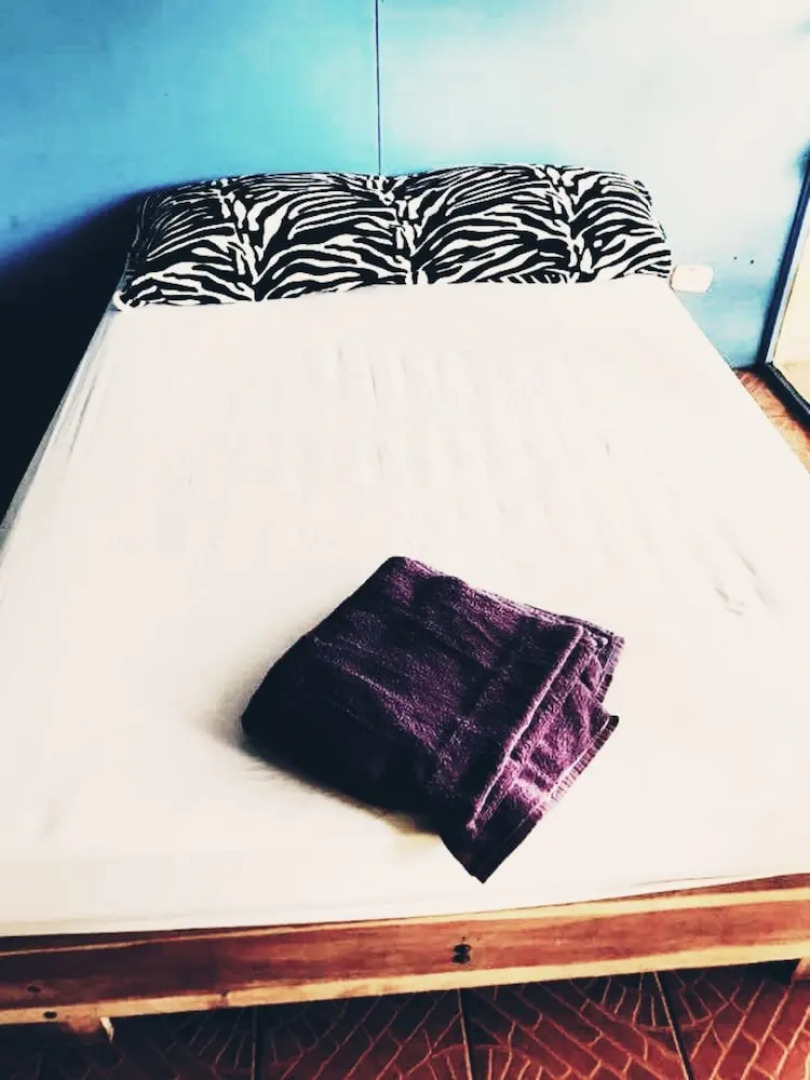 Beachfront manzanillo hotel - Hostel