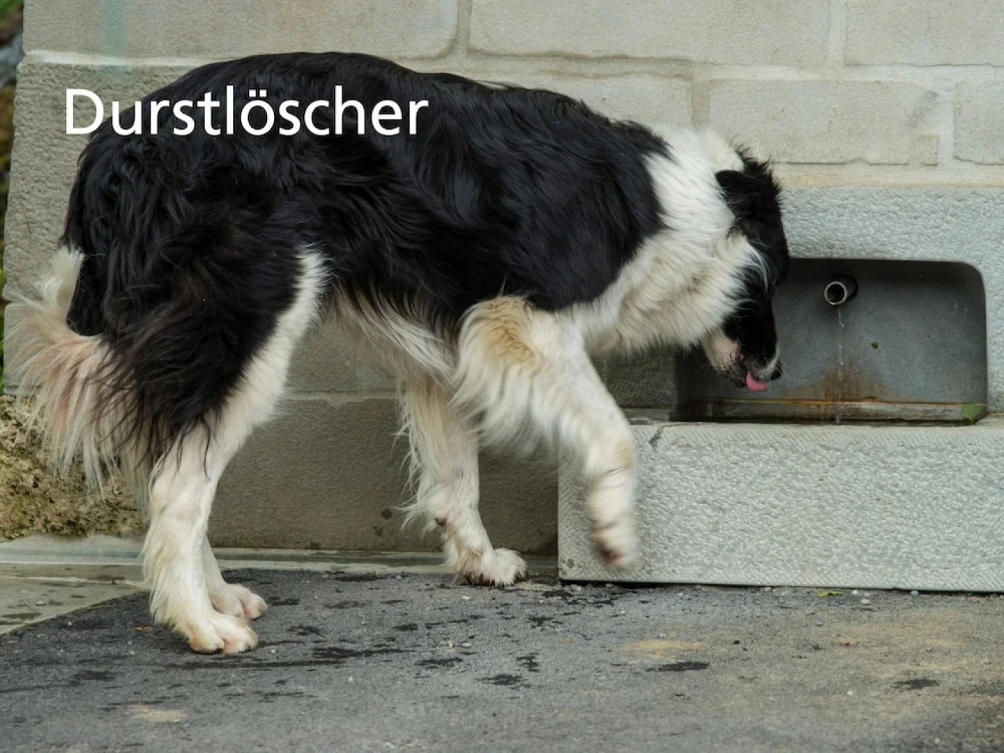 Stiftung Kartause Ittingen