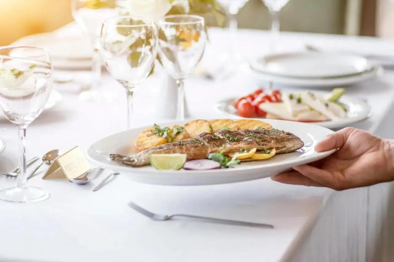 Semitronix Hotel Prishtina