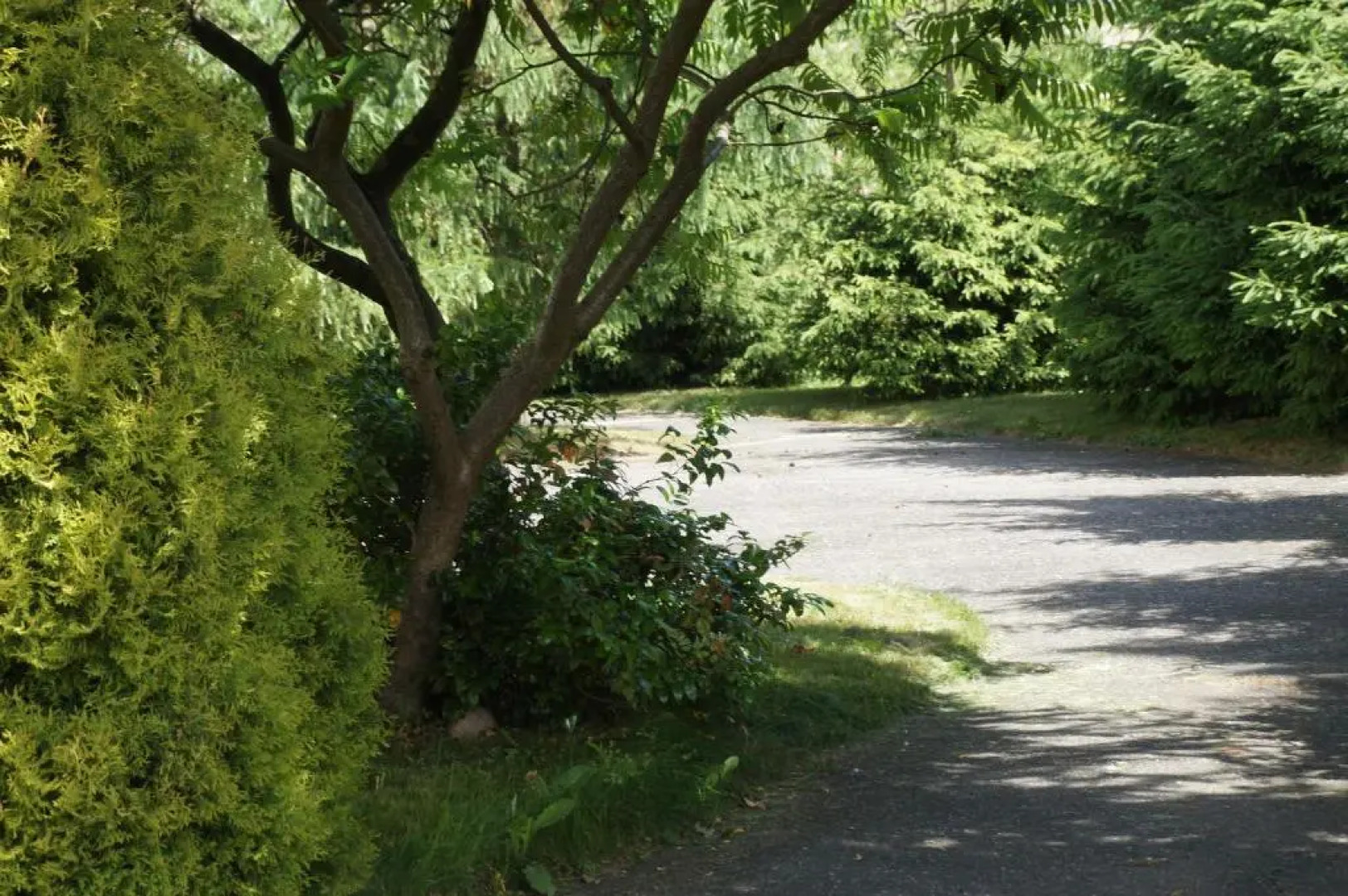 Mieszko II Uzdrowisko Kamien Pomorski