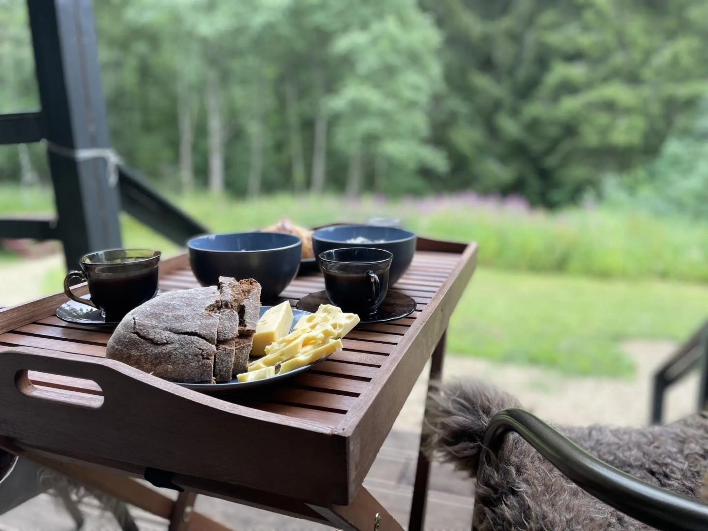 Pine Forest(Хвойный лес)