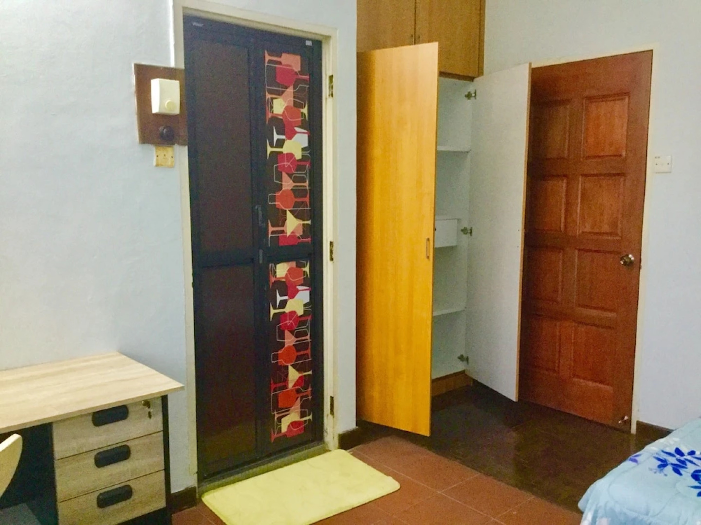 Sea Lion by the Beach