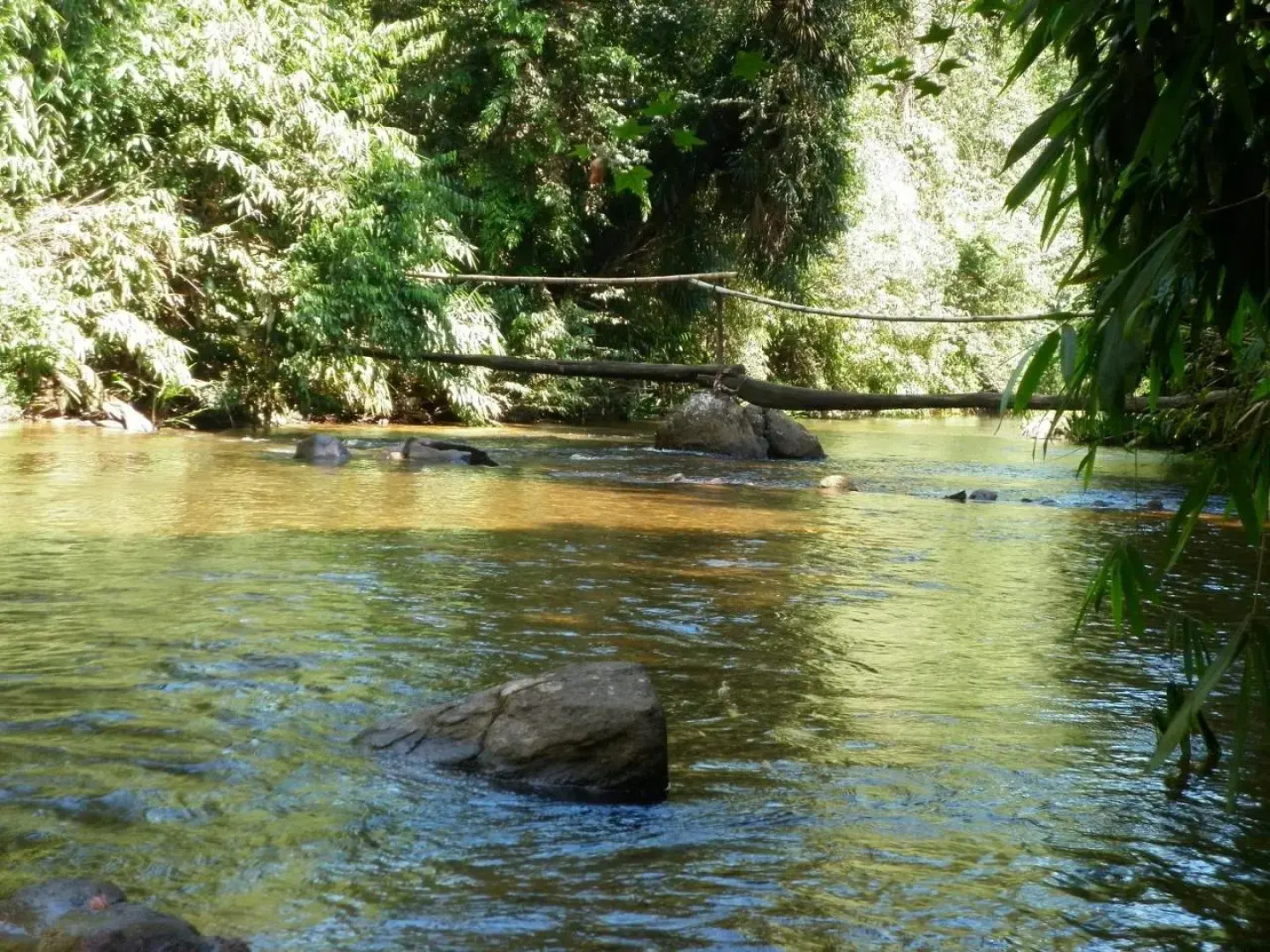 Blue Magpie Lodge Sinharaja
