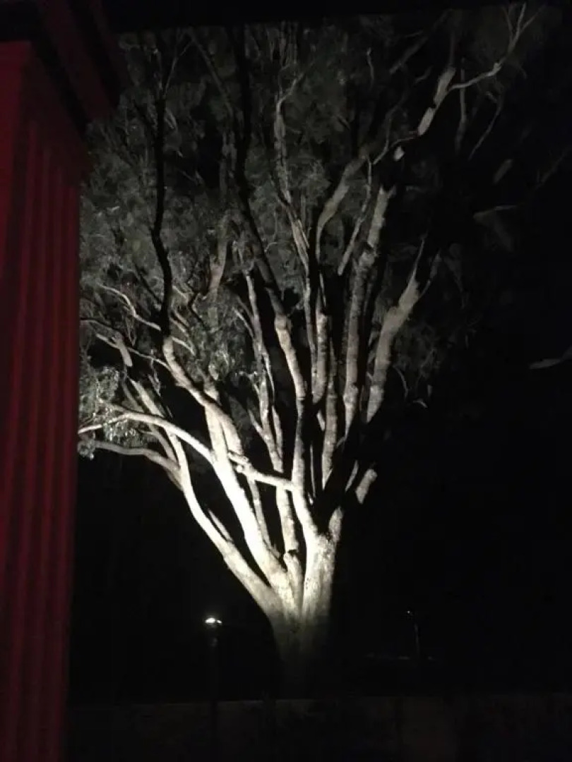 Character 1940s Property