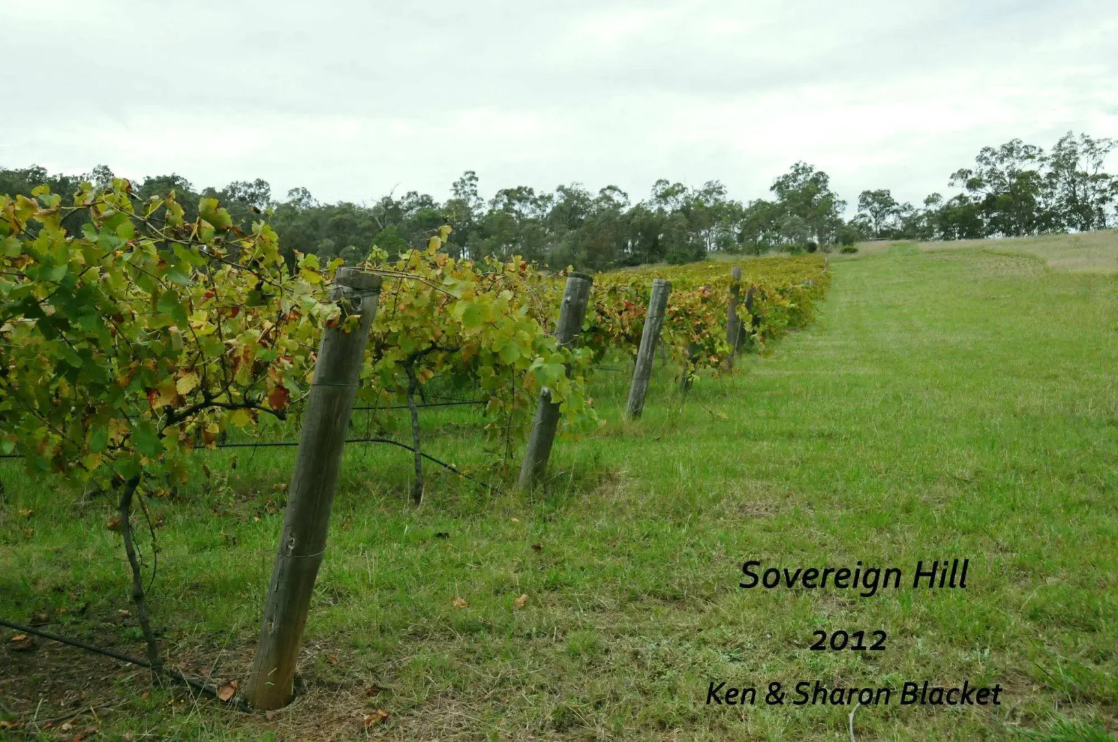 Sovereign Hill Country Lodge Rothbury