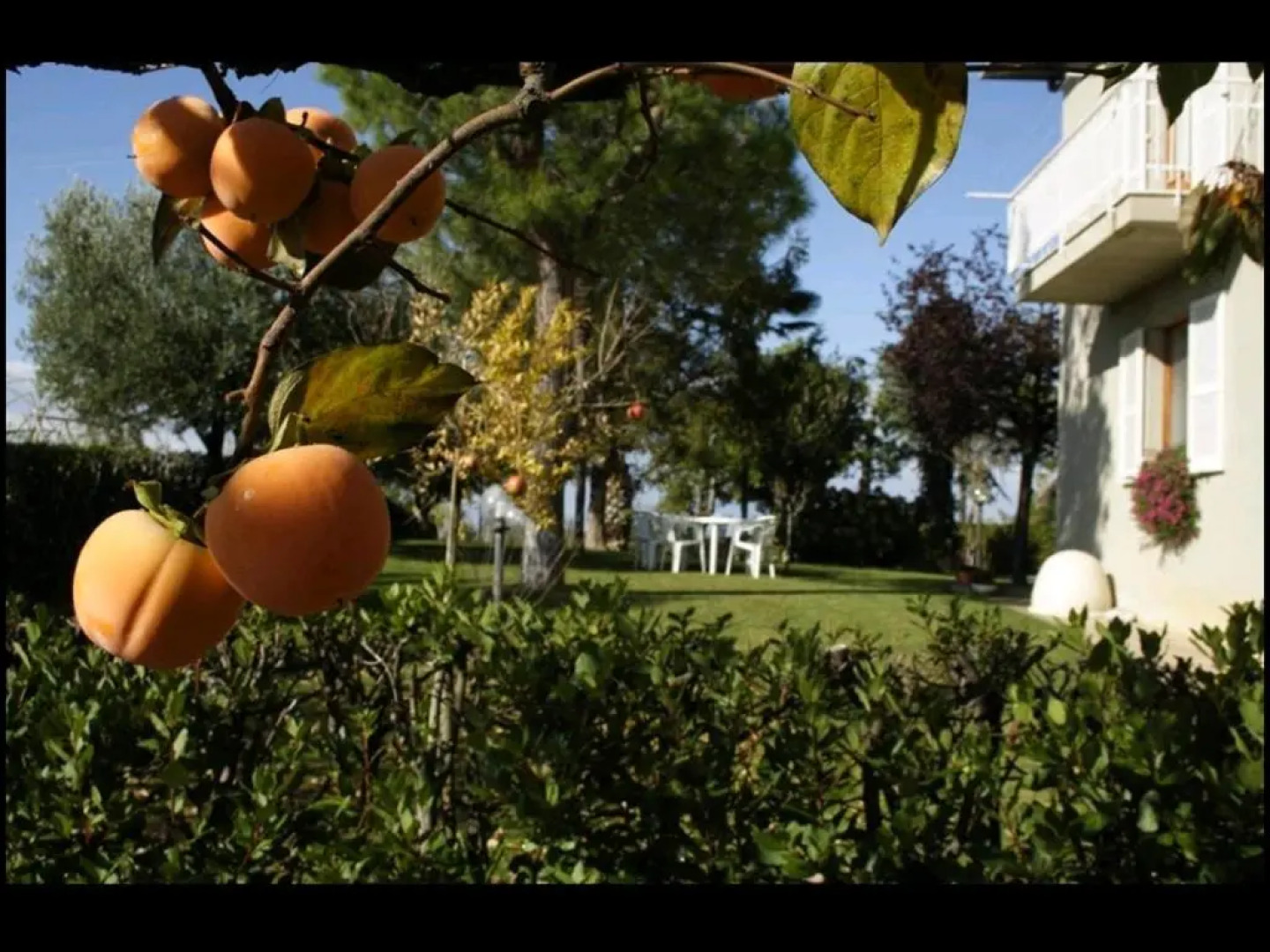 B&B Famiglia De Angelis