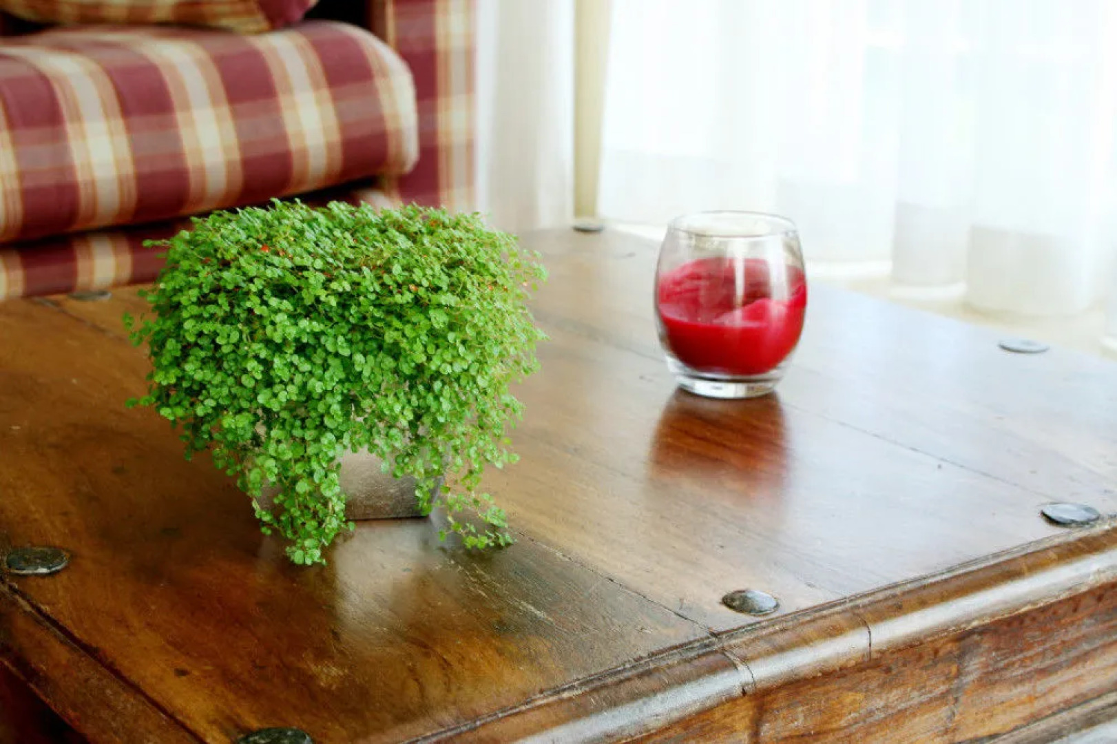 Logement De witte klok